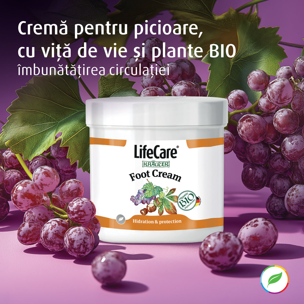 Crème pour les pieds à la vigne et aux herbes biologiques
