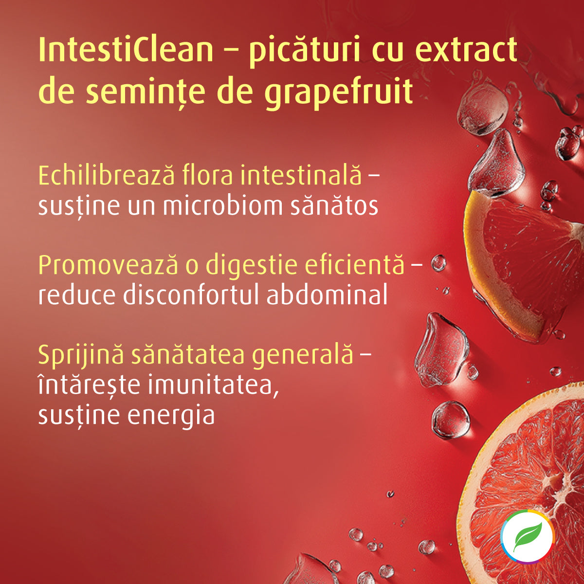 IntestiClean für eine ausgeglichene Verdauung