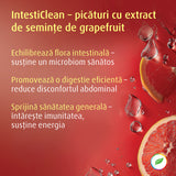 IntestiClean für eine ausgeglichene Verdauung